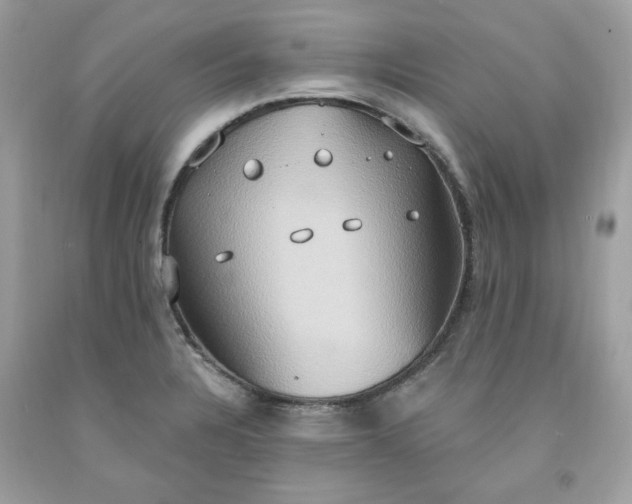 X0000091641328200709060929