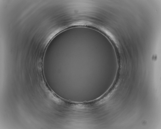 X0000091641329200709060929