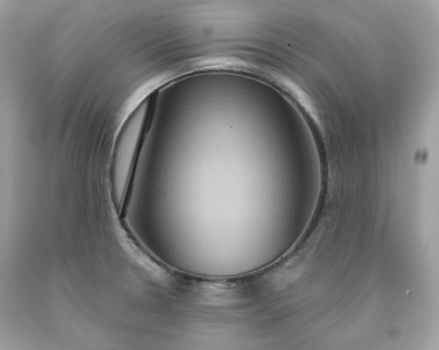 X0000091641330200709060929
