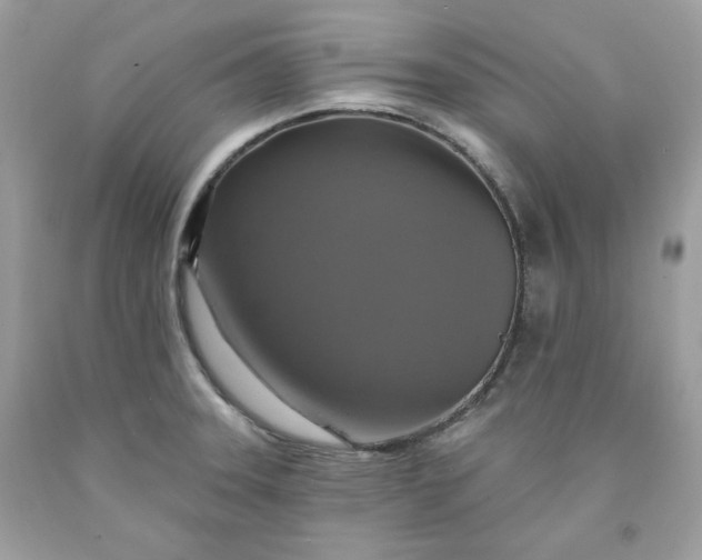 X0000091641331200709060929