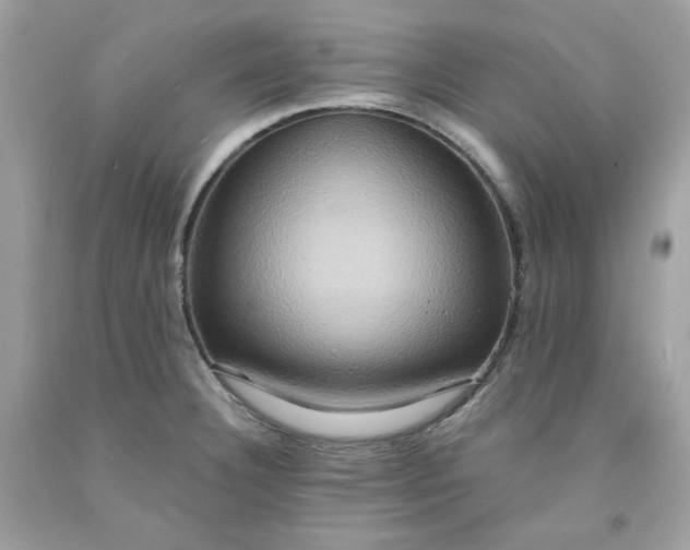 X0000091641332200709060929