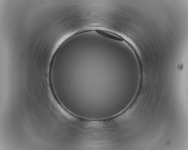 X0000091641333200709060929