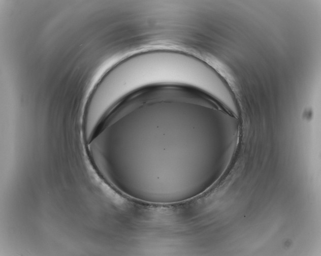 X0000091641334200709060929