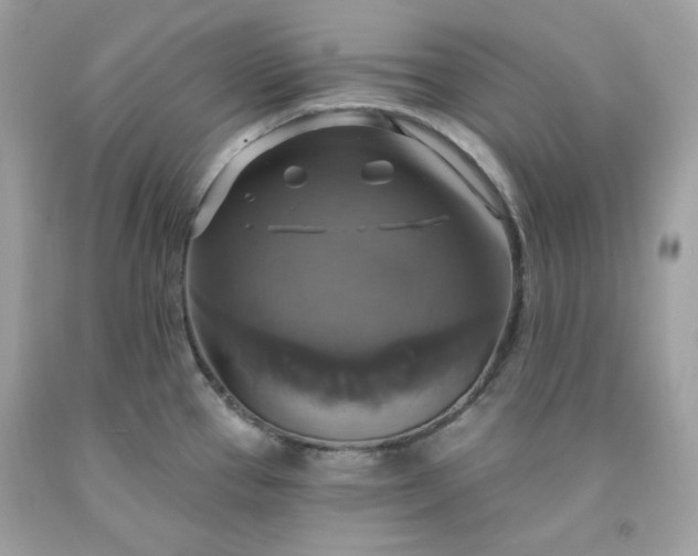 X0000091641337200709060929