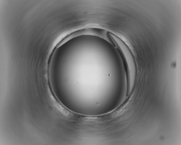X0000091641342200709060929