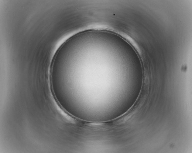 X0000091641343200709060929