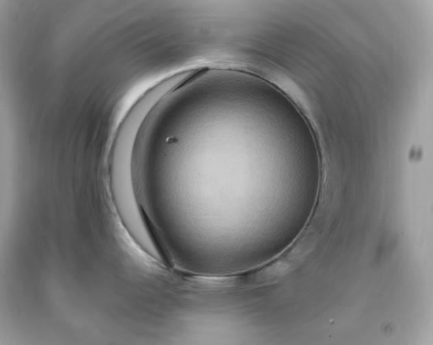 X0000091641344200709060929