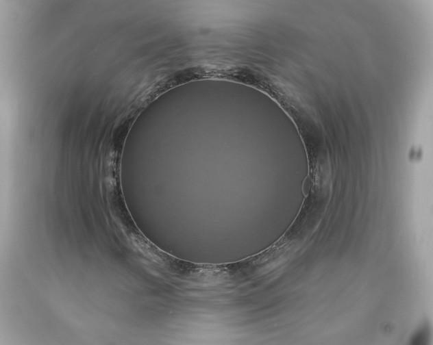 X0000091641346200709060928