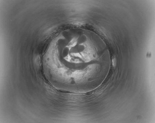 X0000091641347200709060928
