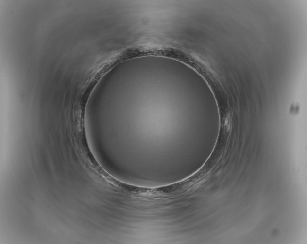 X0000091641348200709060928