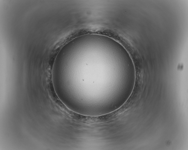 X0000091641349200709060928