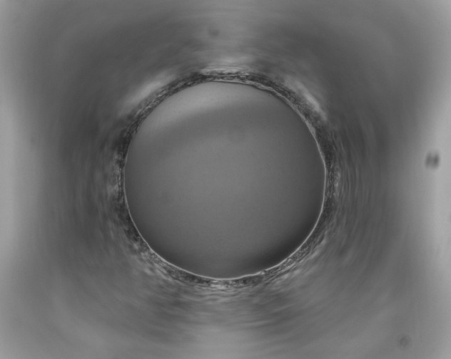 X0000091641350200709060928