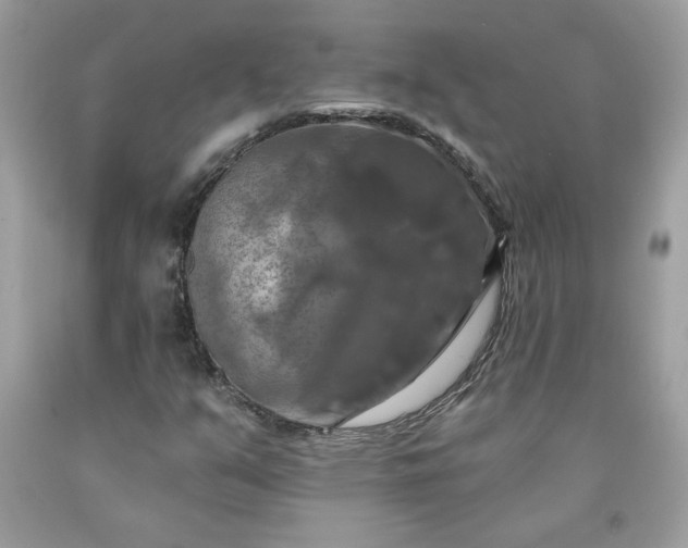 X0000091641351200709060928