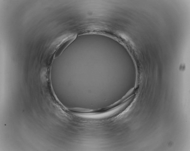 X0000091641353200709060928