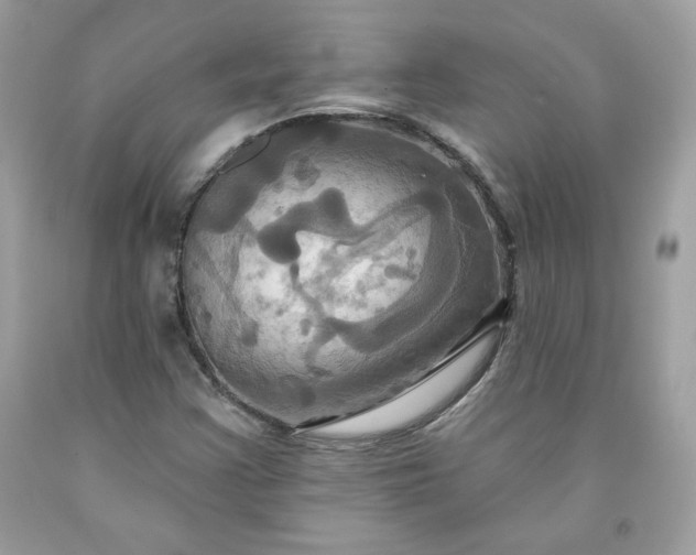X0000091641355200709060928