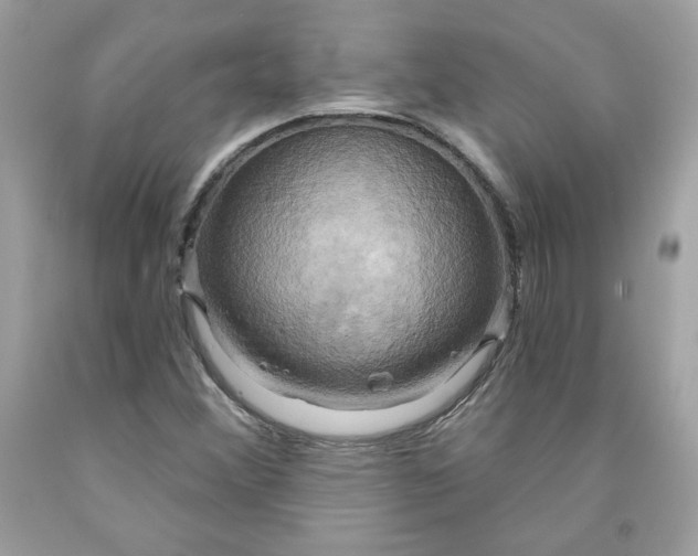 X0000091641356200709060928