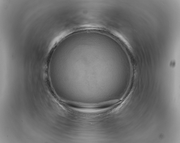 X0000091641357200709060928