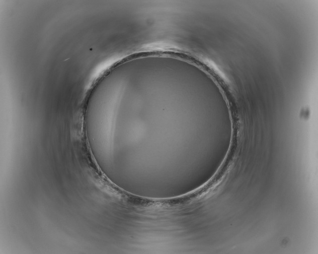 X0000091641358200709060928