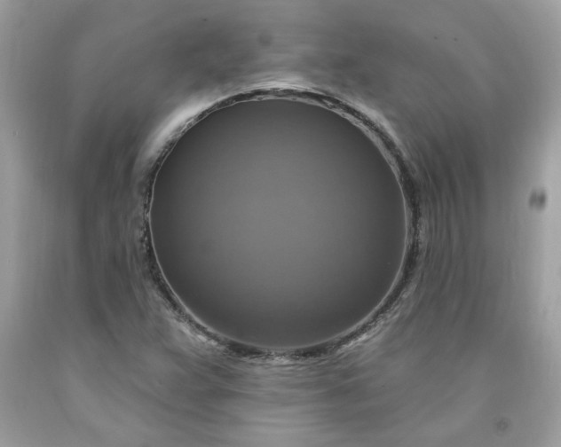 X0000091641359200709060928