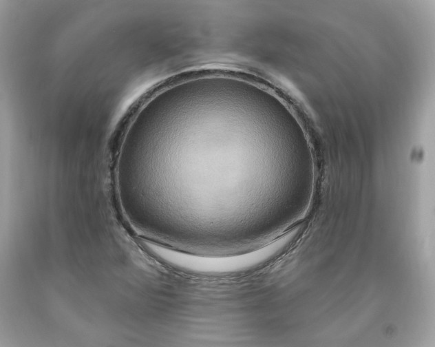 X0000091641360200709060928