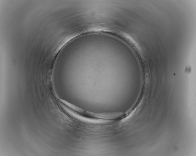 X0000091641361200709060928