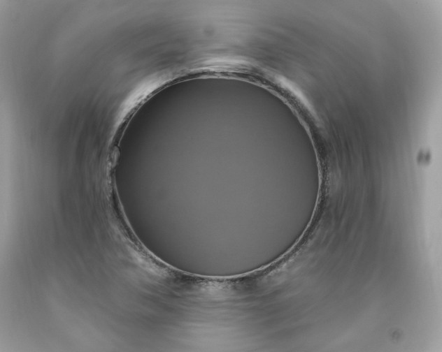 X0000091641362200709060928