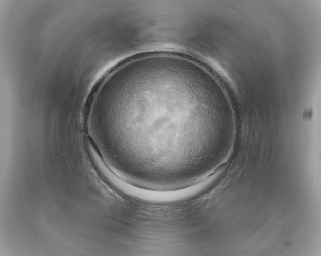 X0000091641364200709060928