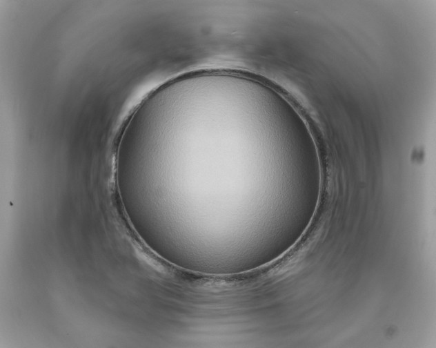 X0000091641366200709060928