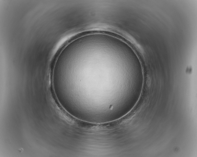 X0000091641368200709060928