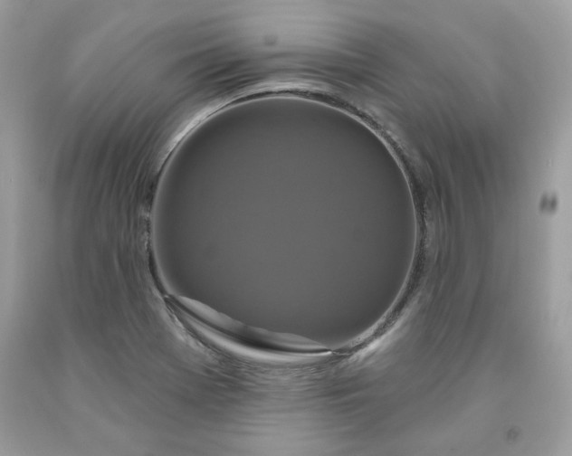 X0000091641369200709060928