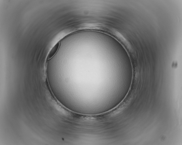 X0000091641370200709060928