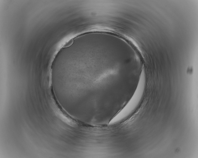 X0000091641371200709060928
