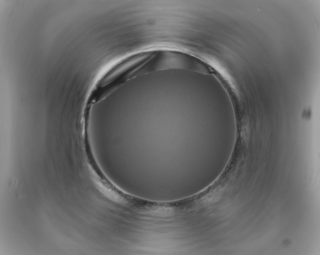 X0000091641372200709060928
