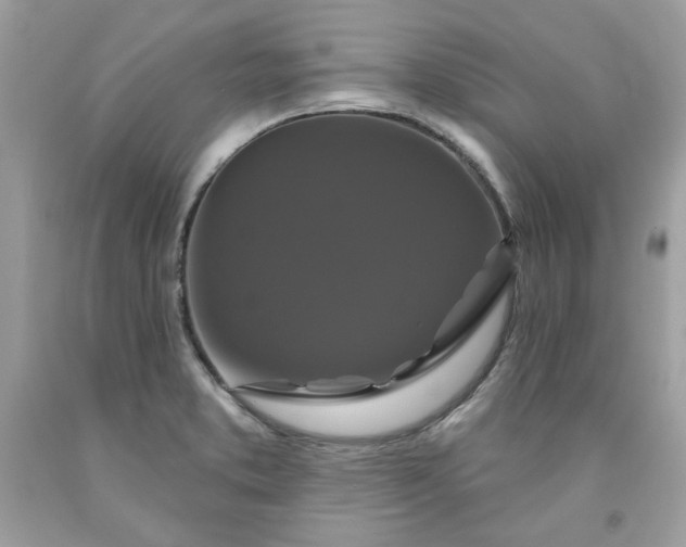X0000091641373200709060928