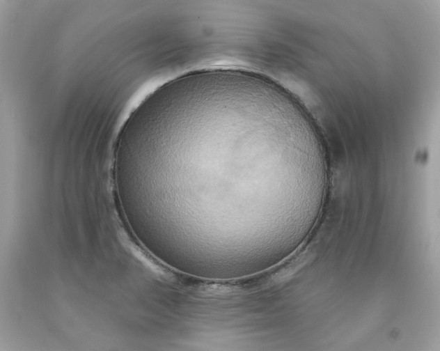 X0000091641374200709060928