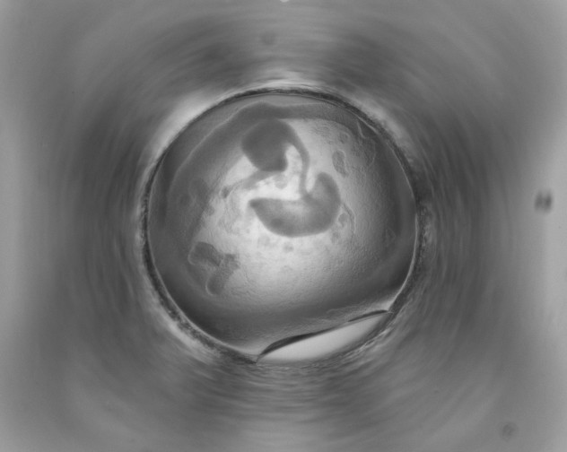 X0000091641375200709060928