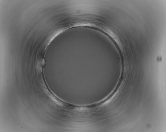 X0000091641377200709060928