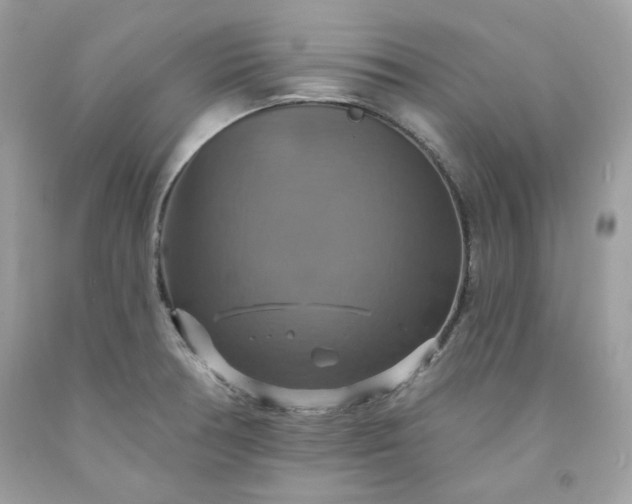 X0000091641378200709060928