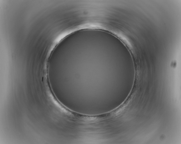 X0000091641382200709060928