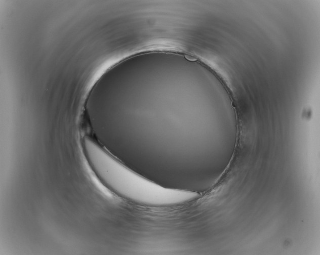 X0000091641383200709060928