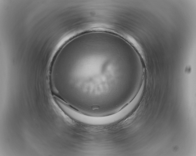 X0000091641384200709060928