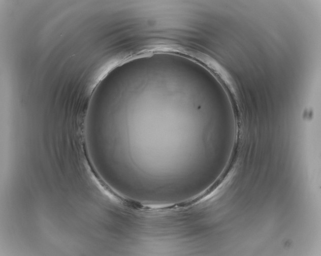 X0000091641385200709060928