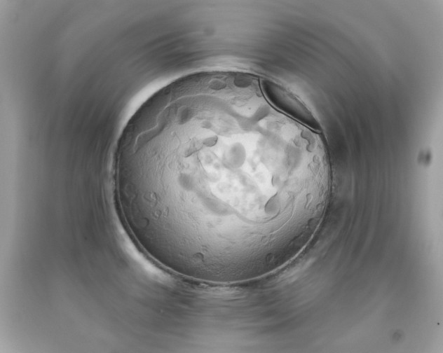 X0000091641387200709060928