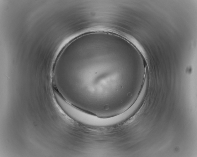 X0000091641388200709060928