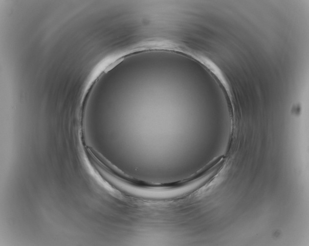 X0000091641389200709060928
