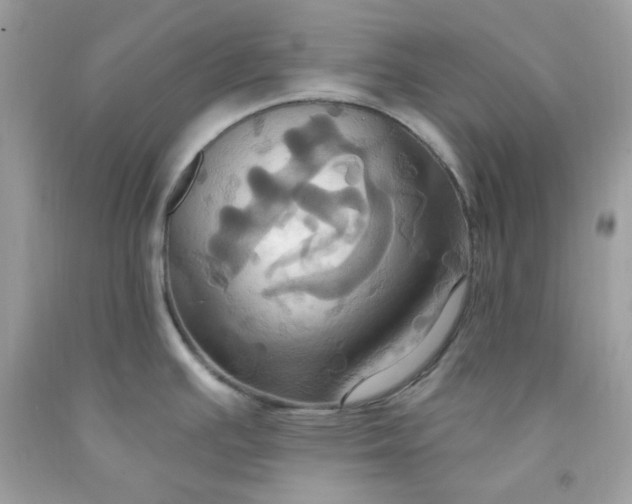X0000091641391200709060928