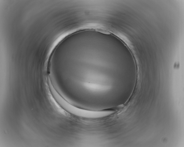 X0000091641392200709060928
