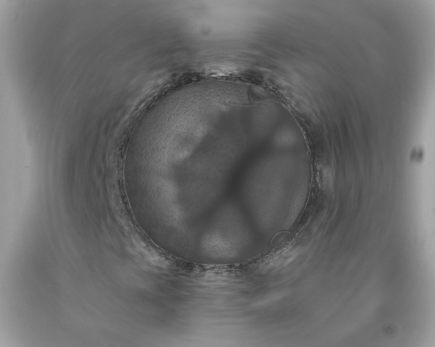 X0000091641393200709060927