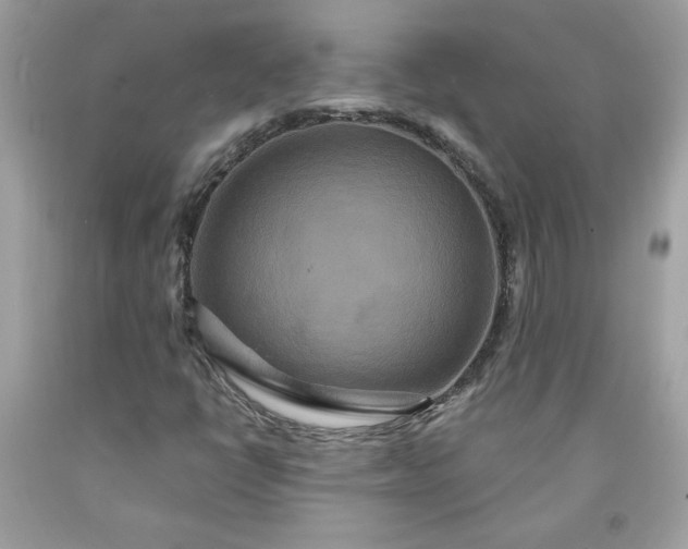 X0000091641398200709060927
