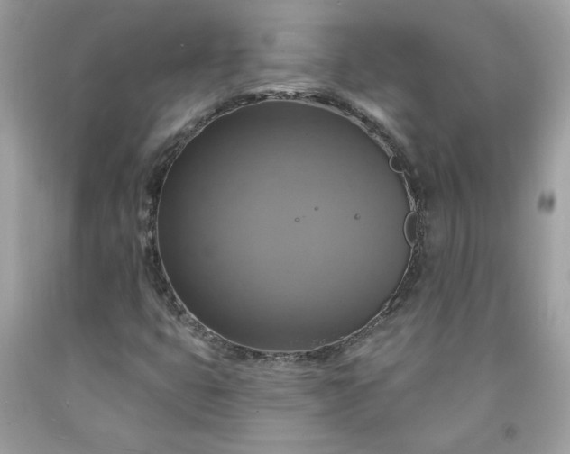 X0000091641399200709060927